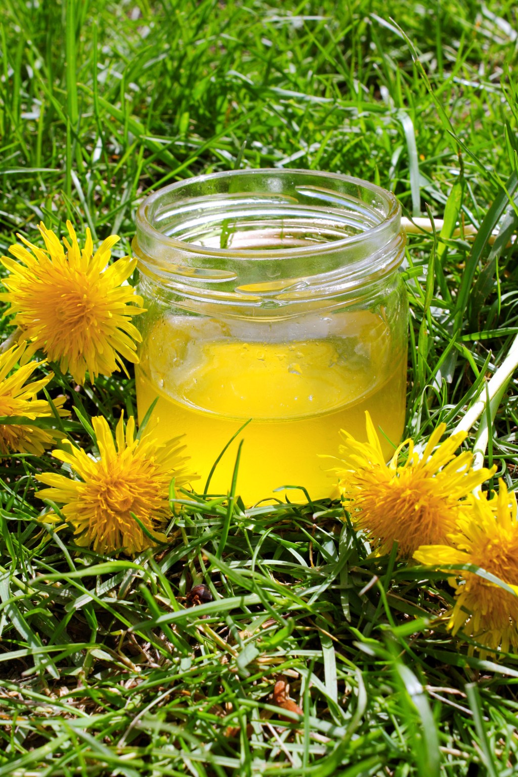 Cramaillotte (‘‘miel’’ de&nbsp;pissenlit)