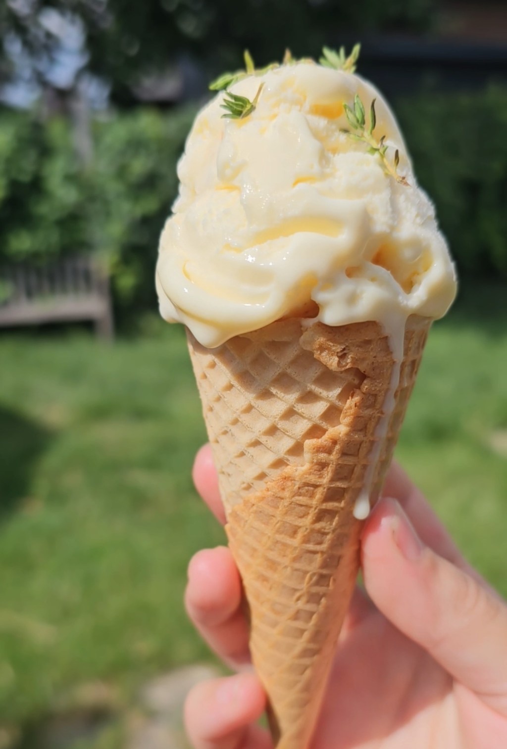 Crème glacée au thym (sans&nbsp;barattage)