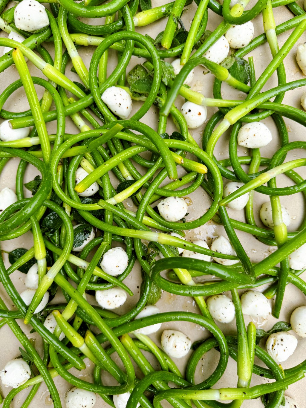 Fleurs d’ail rôties à l’origan et à la&nbsp;mozzarella